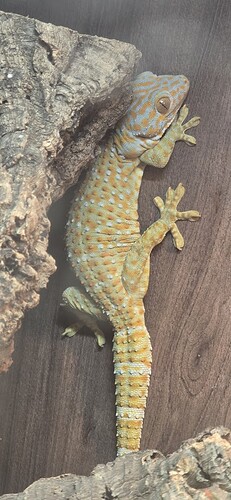 491217642_1972140449979855_762825242410234834_n