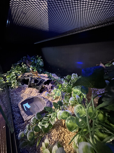 Pan of the entire enclosure.HEIC