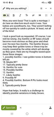 1000091197