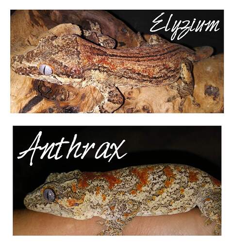 received_1085755545344741