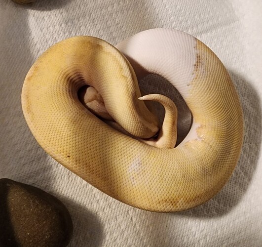 Screenshot_20260314_011621_Gallery