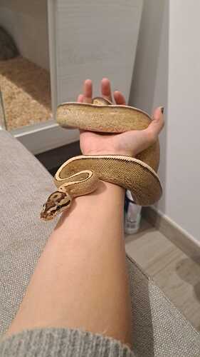 dbff8339-a855-494a-8867-96f5911d02a5