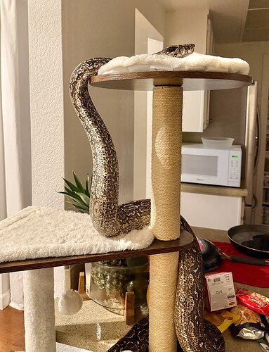 Screenshot 2026-04-15 at 11.21.46 AM