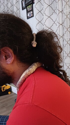 Resized_20251125_210710