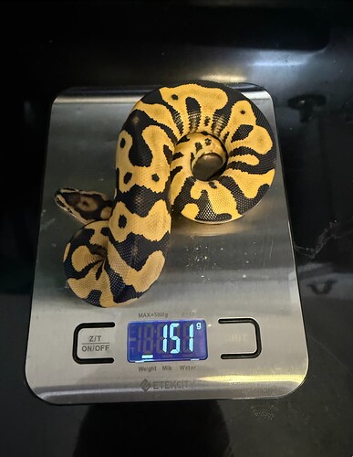 Screen Shot 2025-04-10 at 5.58.40 PM