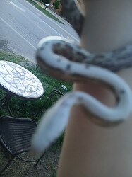20260603_210454_Original
