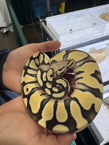 5a26be8c6207e370414d83b0f5196bf9