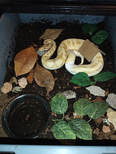 IMG_20260313_203005_838