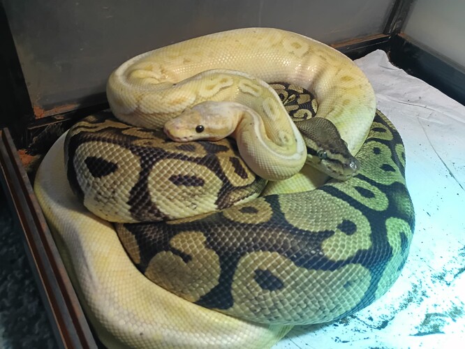 IMG_20260113_153426_558