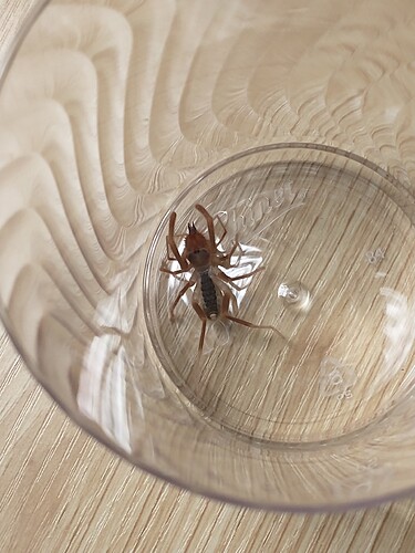 IMG_20260407_073937655