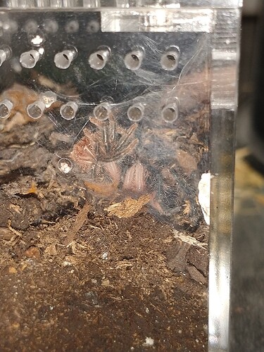 IMG_20250525_094107093