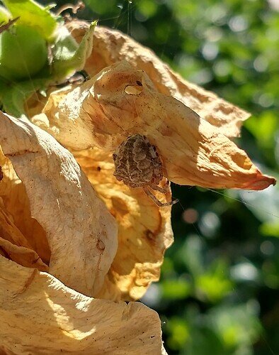IMG_20230728_104412975_HDR~2