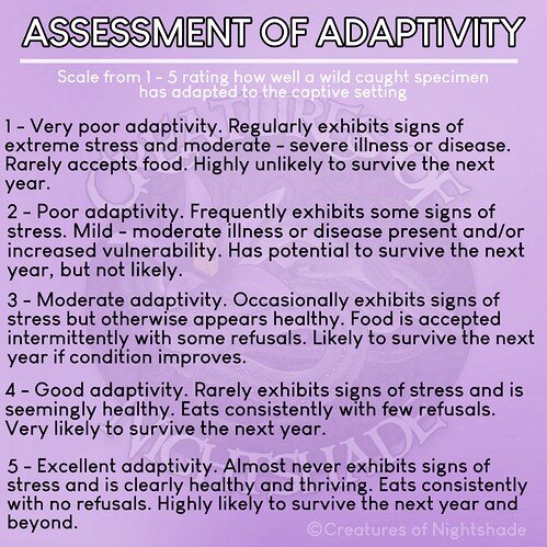 AssessmentofAdaptivity