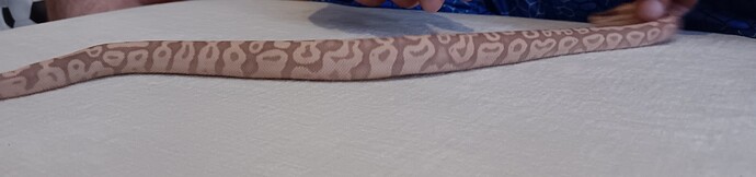 Resized_20250930_214258