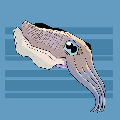 Cuttlefish