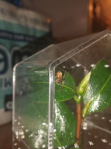 IMG_20251030_183926297