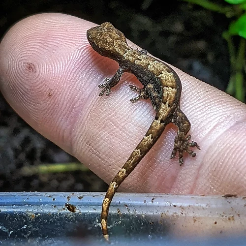 IMG_20220623_175935_529