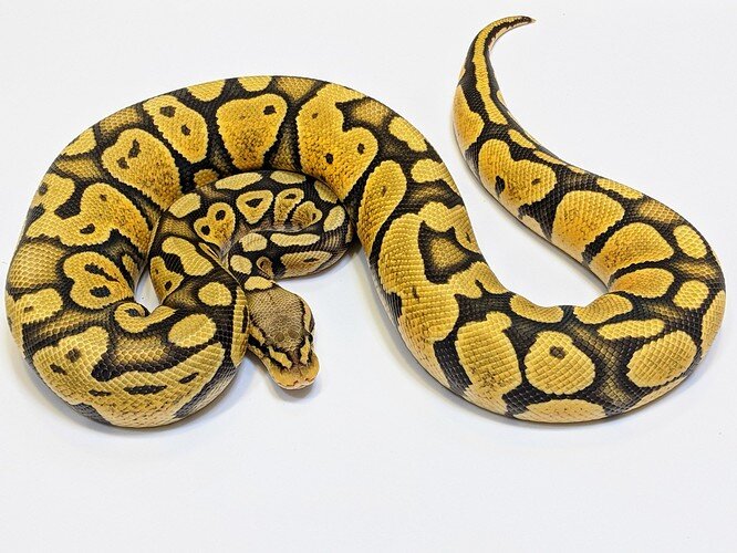 IMG_20200831_184815~2