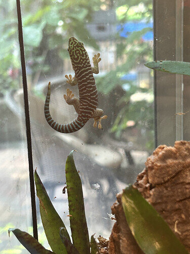 00FDDC83-893F-4C8F-B789-7C60BD029E2B