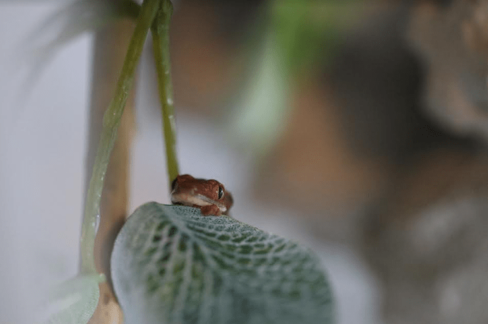 Screenshot 2022-07-26 6.05.13 PM