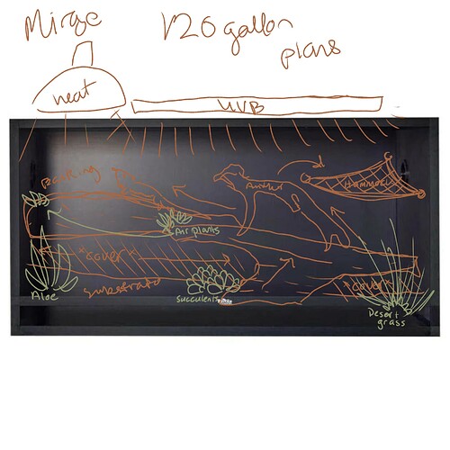 Untitled40_20251119123637