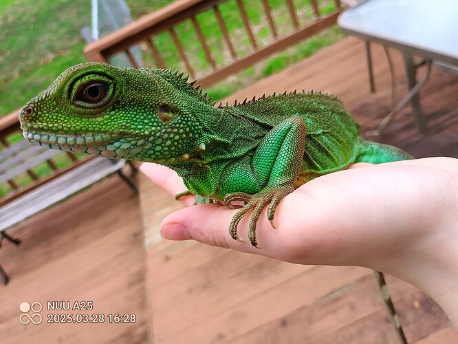 IMG_20250328_162845_007