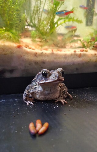 8470