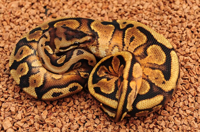 ATB_3670