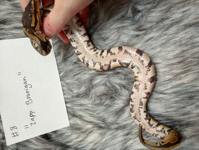 IMG_20240205_182342980_HDR