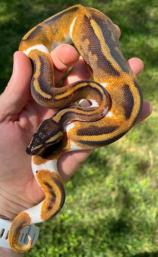 Screenshot From 2025-12-05 17-05-22