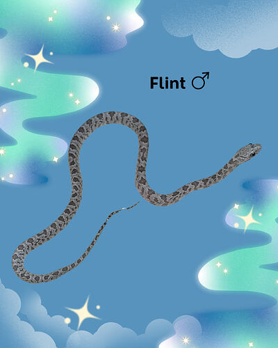Flint