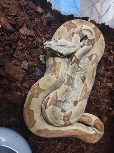 6048c75f-6856-4c1c-b4e6-b4eea143fe56-1_all_258