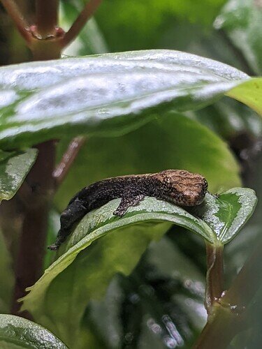 PXL_20220614_183405788