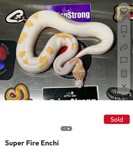 1000004994