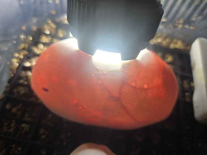 20260715_184721