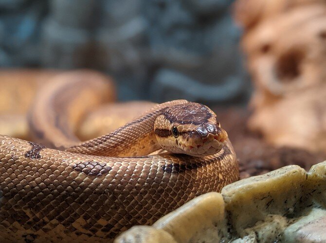 PXL_20210808_202743580.PORTRAIT~2