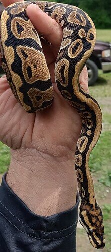 20220523_135622_HDR~2