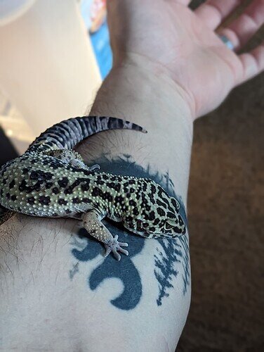 PXL_20230312_155918355.PORTRAIT