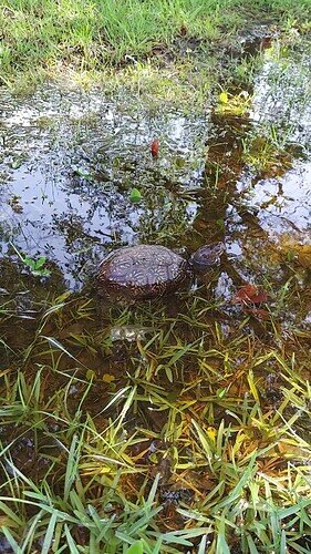 VideoCapture_20220526-152130