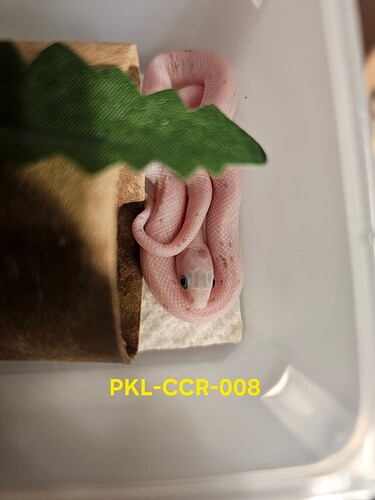 20260518_075054