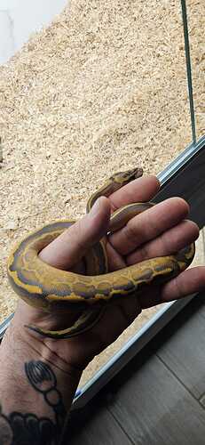 16cfcc35-ca7b-49b0-8d63-2225d06250ac