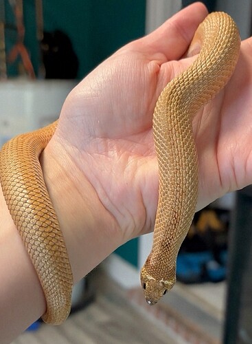 exported_E8A557D4-BA87-43B4-9546-8D1DE9E53EEB