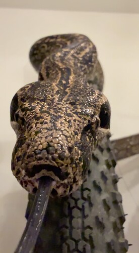 Screenshot 2026-04-15 at 11.20.49 AM