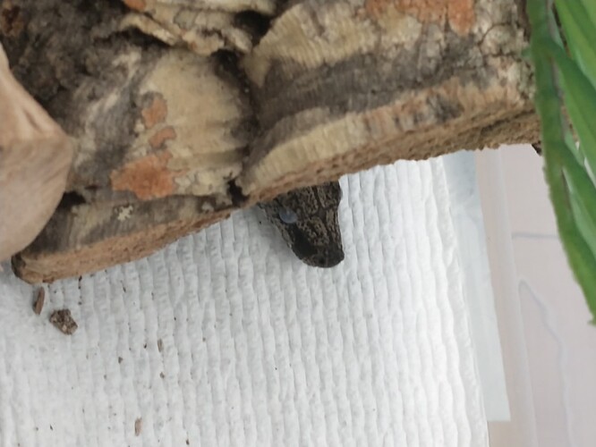 IMG_20240314_191640647