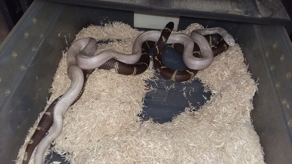 6d135e264e5f0472bedd19ab639d5e