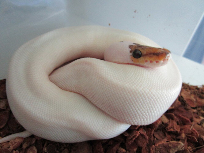 20210519060027_IMG_0425