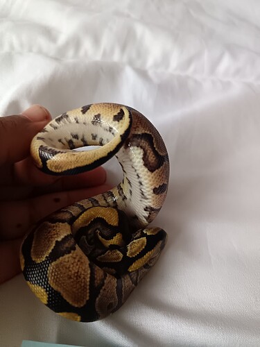 Baby 1
