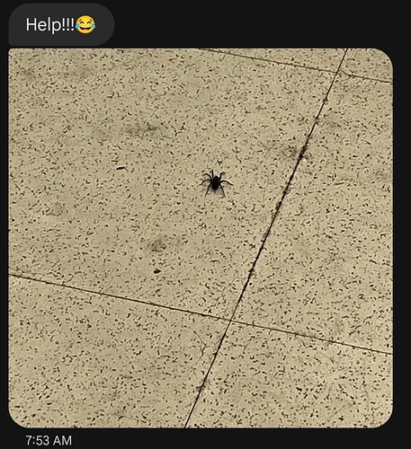 Screenshot_20250318-110933~2