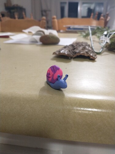 IMG_20251214_173506659