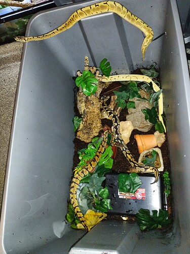 IMG_20260313_200942_350